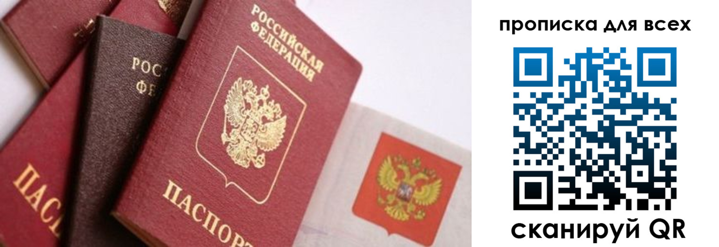 временная регистрация поиск в Читинской области